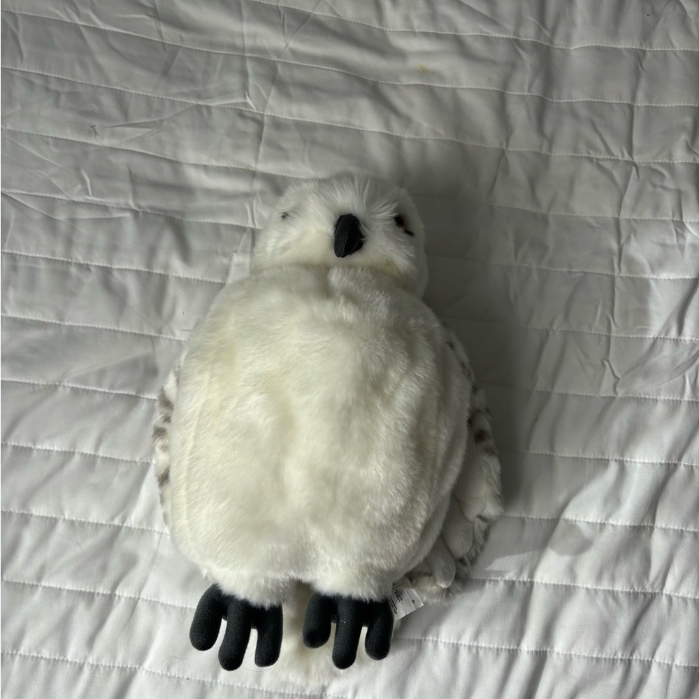 Harry Potter Owl